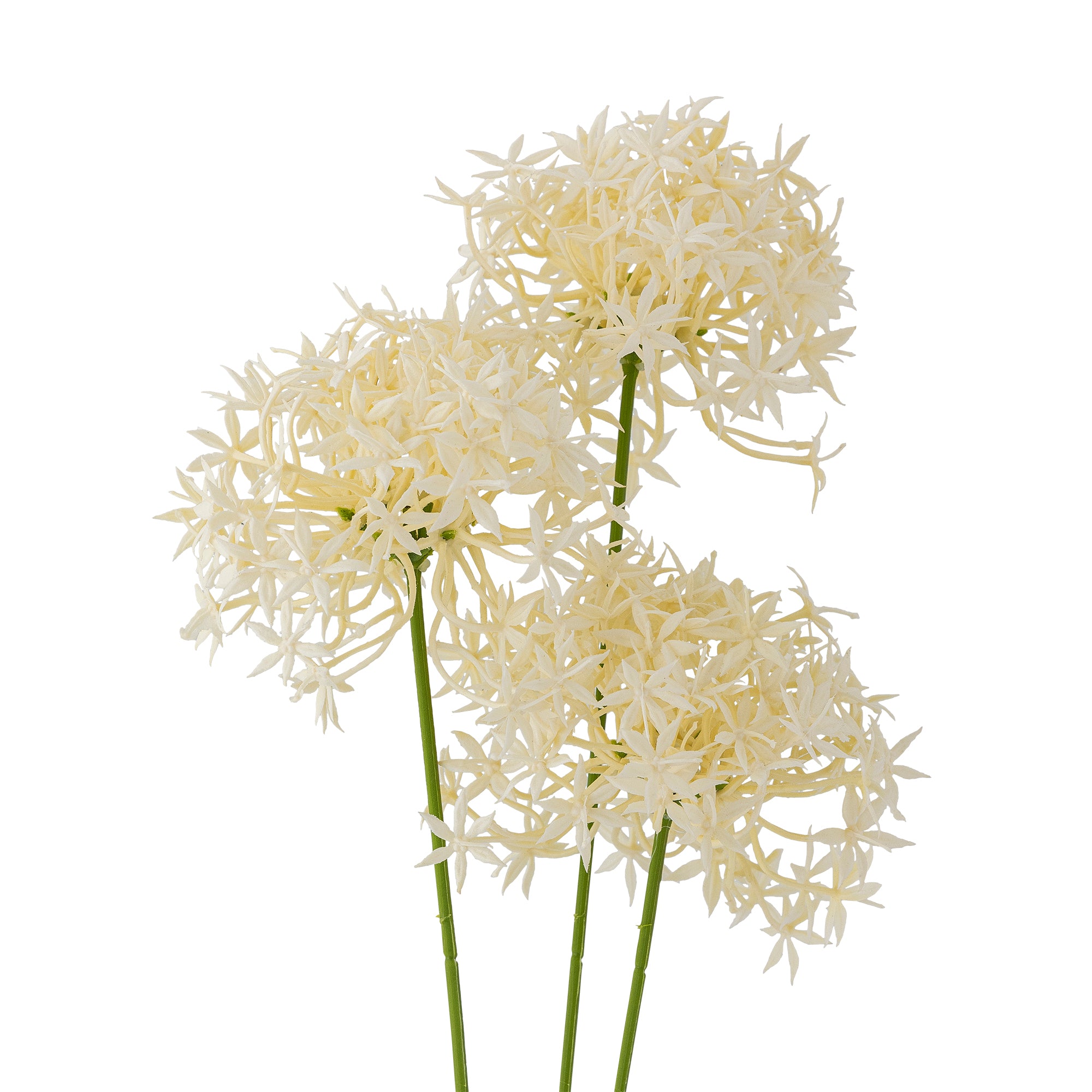 Bloomingville Allium Stjälk, Vit, Konstgjorda Blommor
