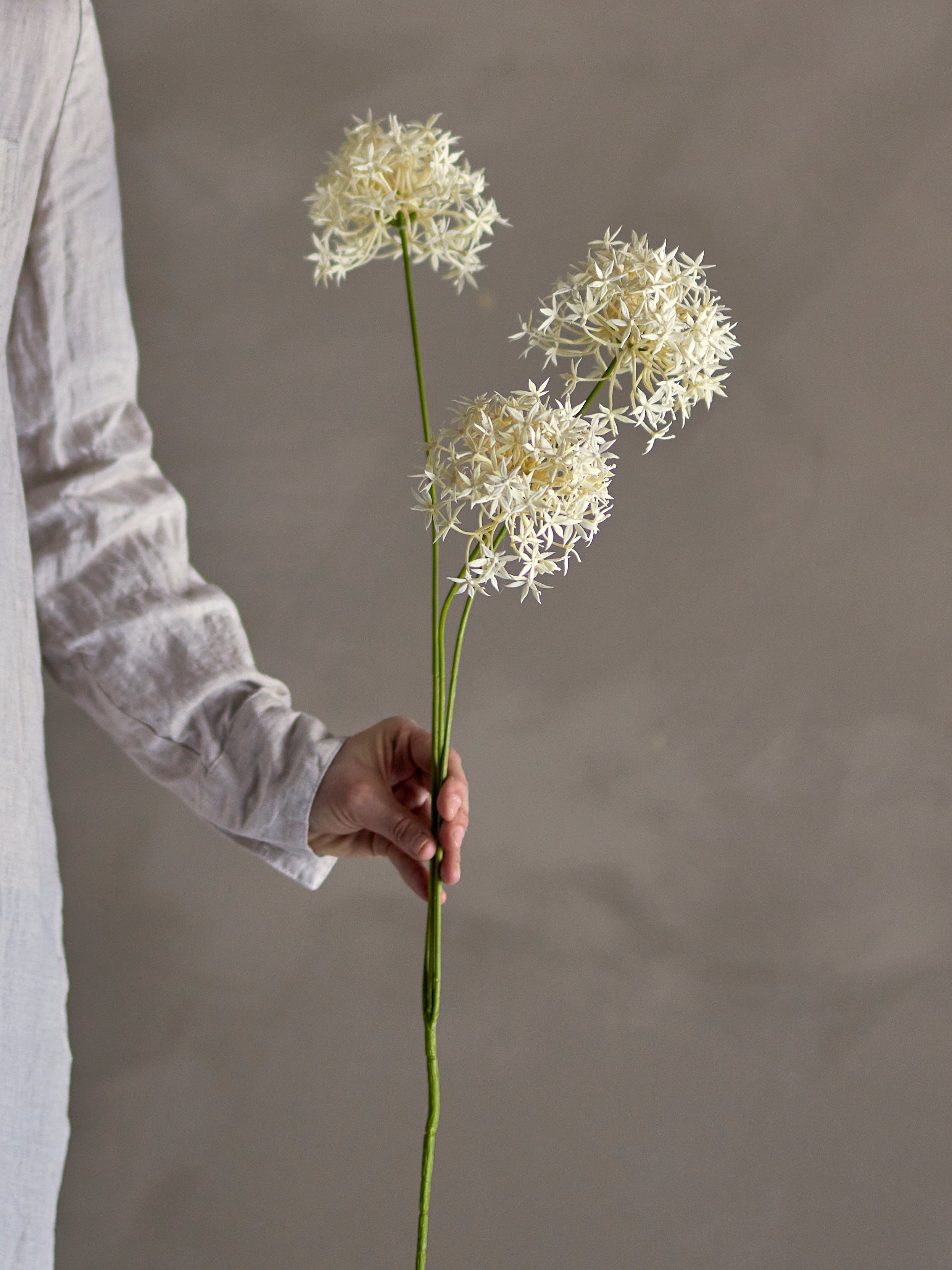 Bloomingville Allium Stjälk, Vit, Konstgjorda Blommor