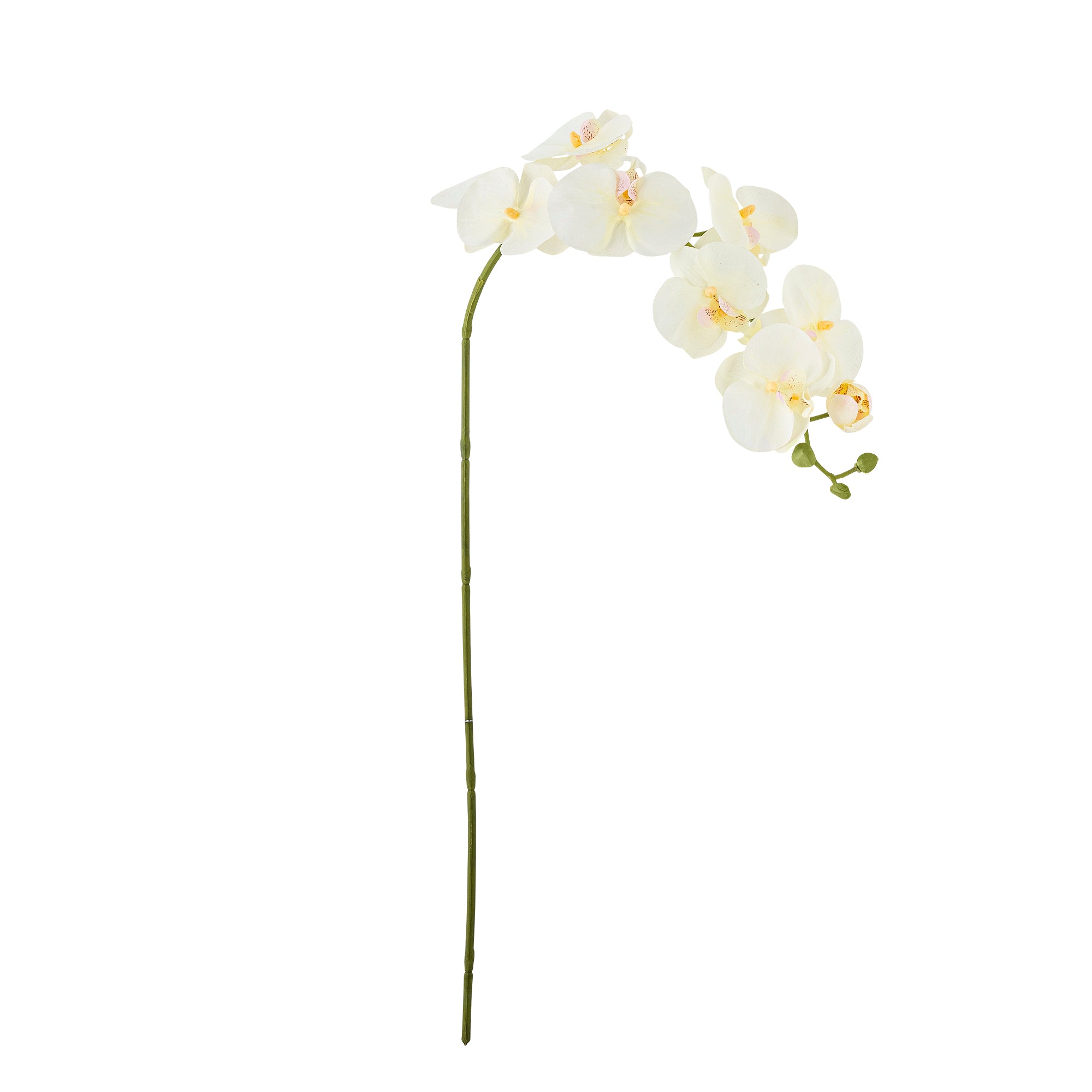 Bloomingville Orchid Stjälk, Vit, Konstgjorda Blommor