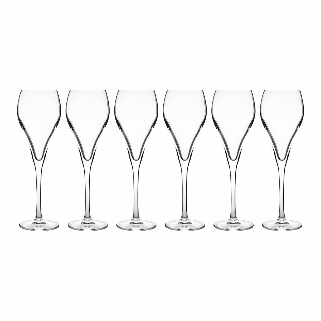 Stiernholm Bubbles champagneglas 16 cl 6-pack klar