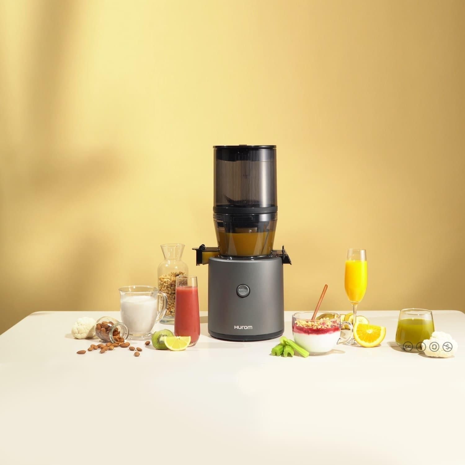 Hurom H320N Slow Juicer Silver