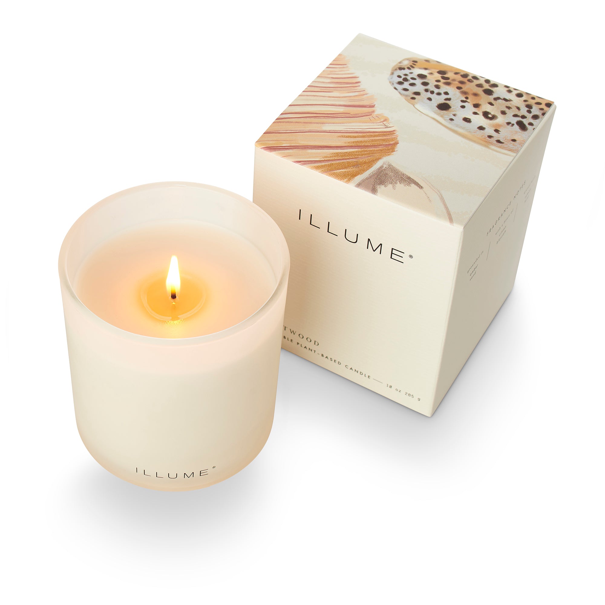 Illume Driftwood Ljuslykta i Glas, Vit,