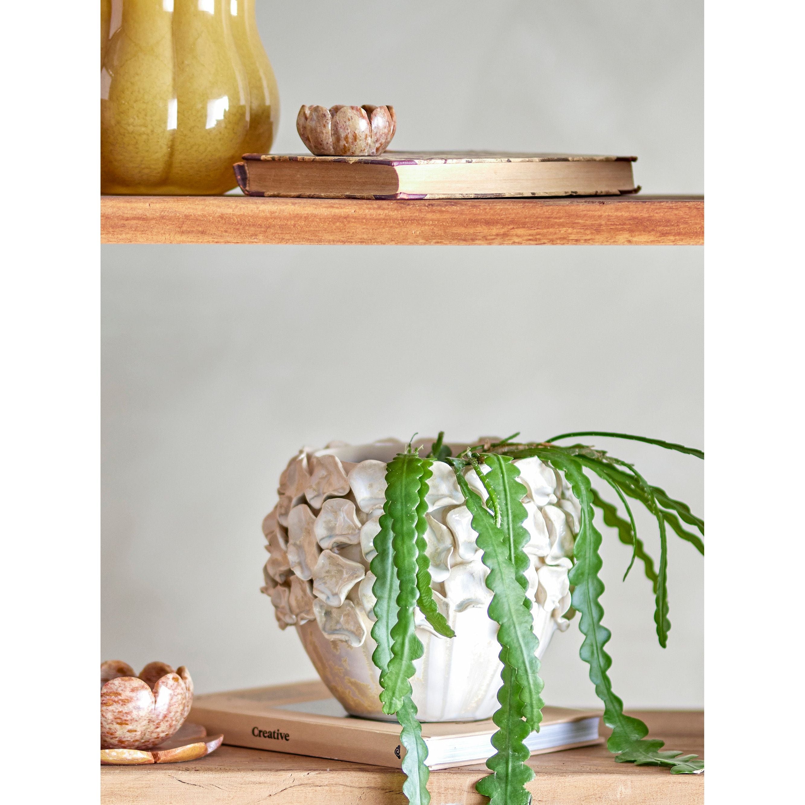 Creative Collection Coral Blomkruka, Natur, Stengods