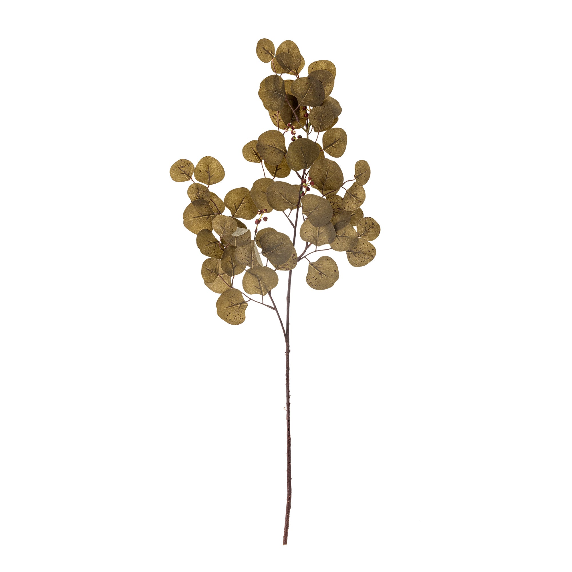 Bloomingville Eucalyptus Stjälk, Brun, Konstgjorda Blommor