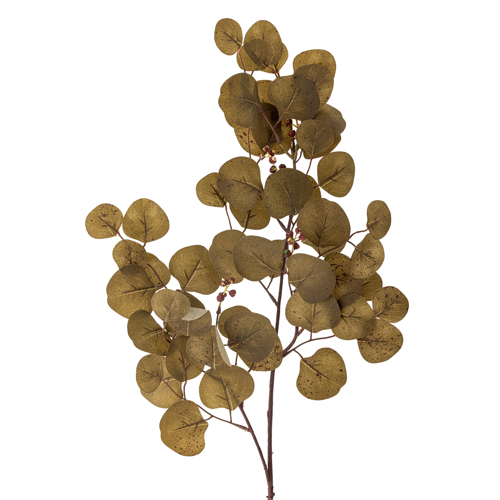 Bloomingville Eucalyptus Stjälk, Brun, Konstgjorda Blommor