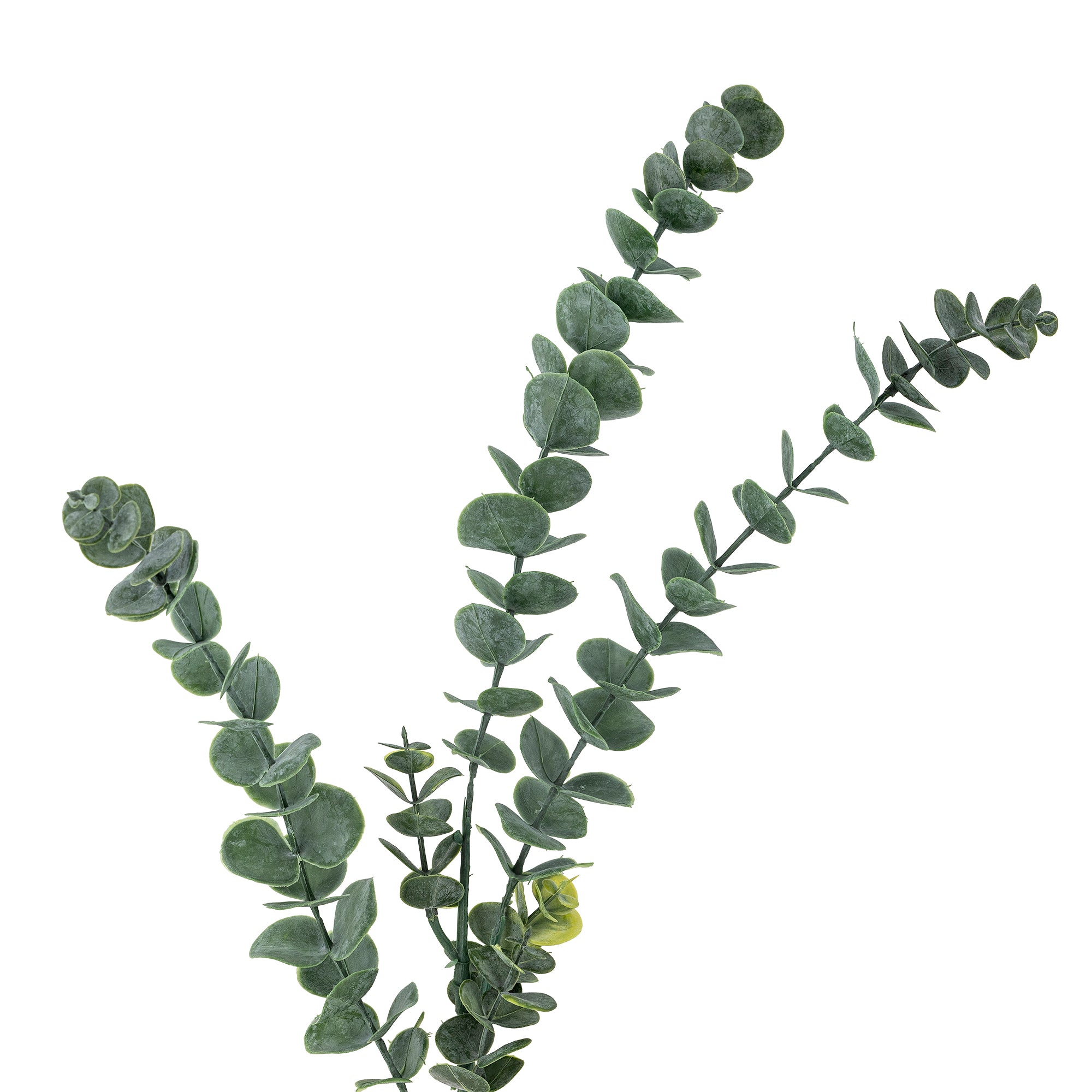 Bloomingville Eucalyptus Stjälk, Grön, Konstgjorda Blommor