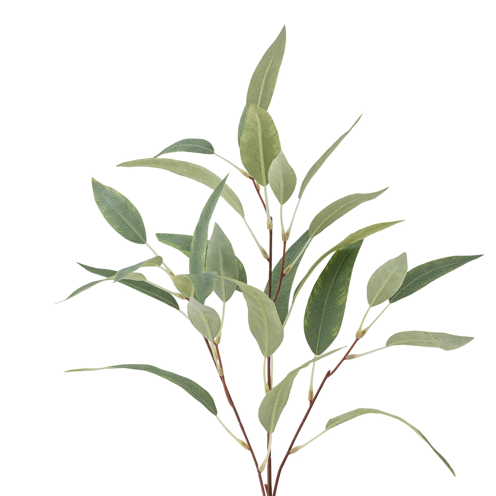 Bloomingville Eucalyptus Stjälk, Grön, Konstgjorda Blommor