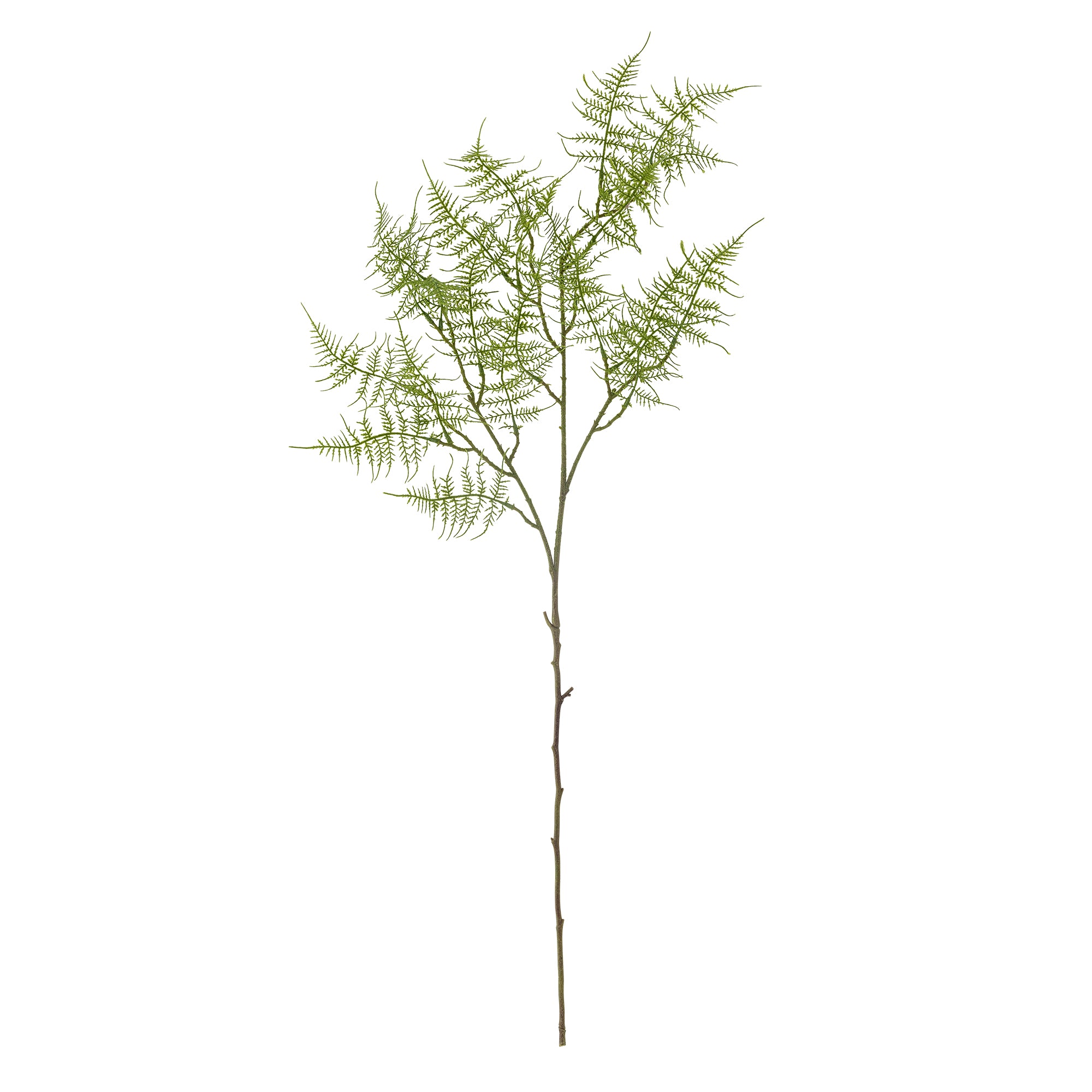Bloomingville Fern Stjälk, Grön, Konstgjorda Blommor