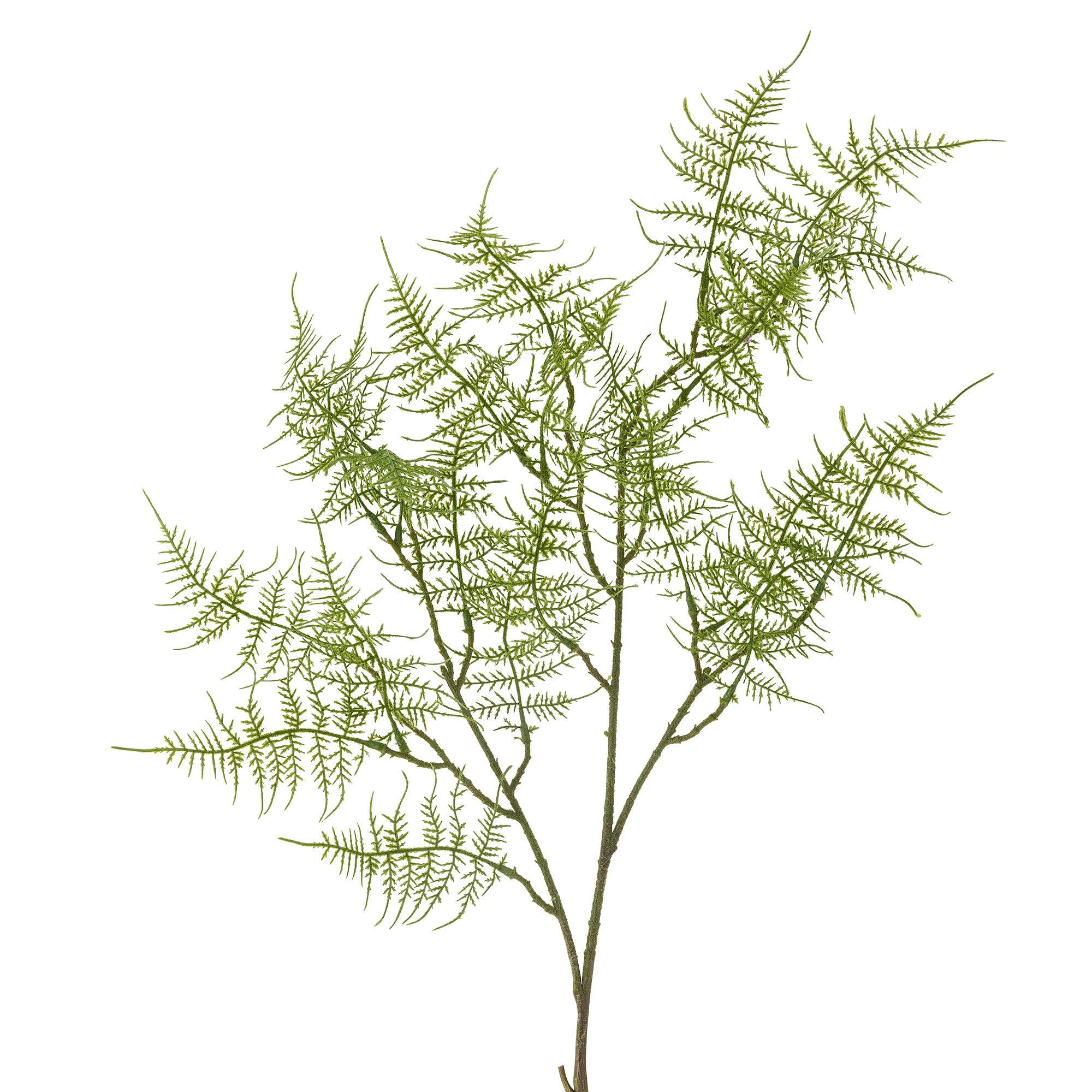 Bloomingville Fern Stjälk, Grön, Konstgjorda Blommor