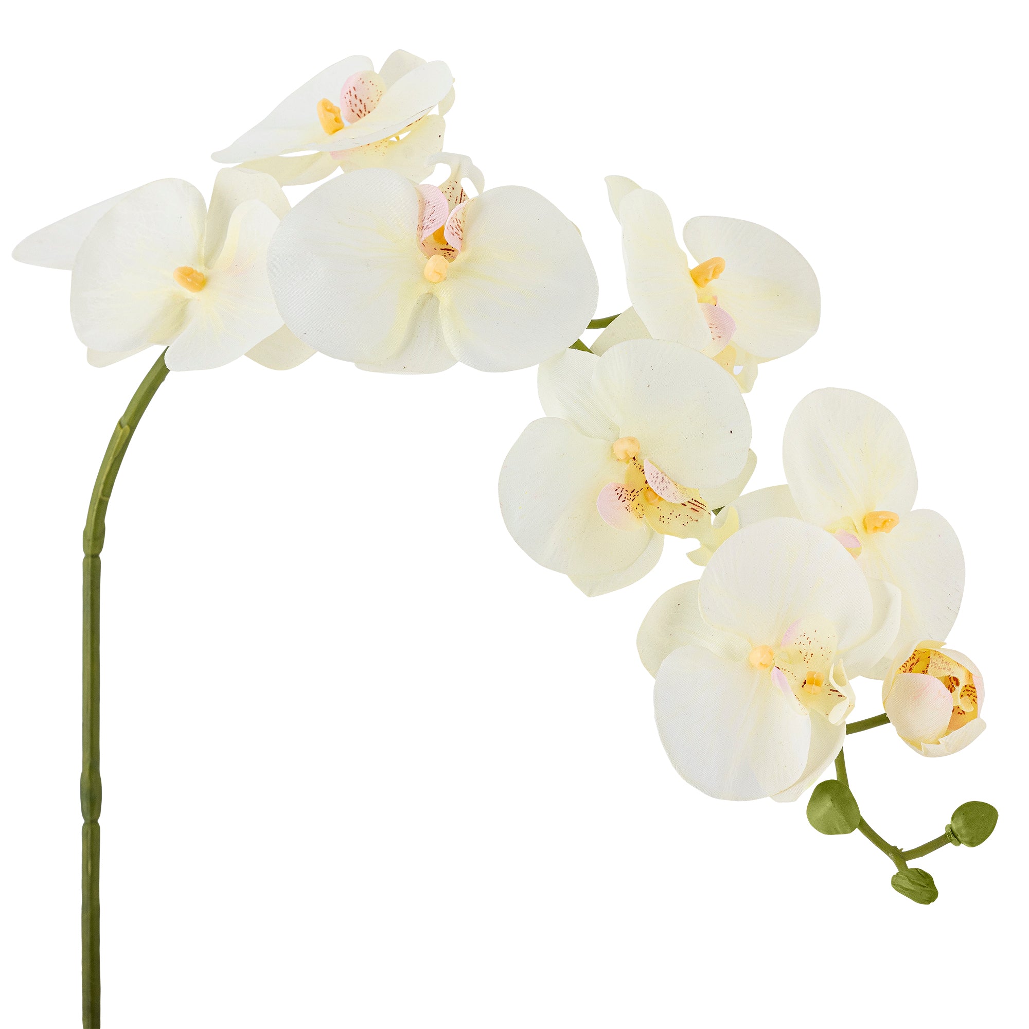 Bloomingville Orchid Stjälk, Vit, Konstgjorda Blommor